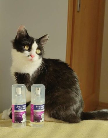 FELIWAY prírodný spray imituje mačací tvárový feromón recenzia