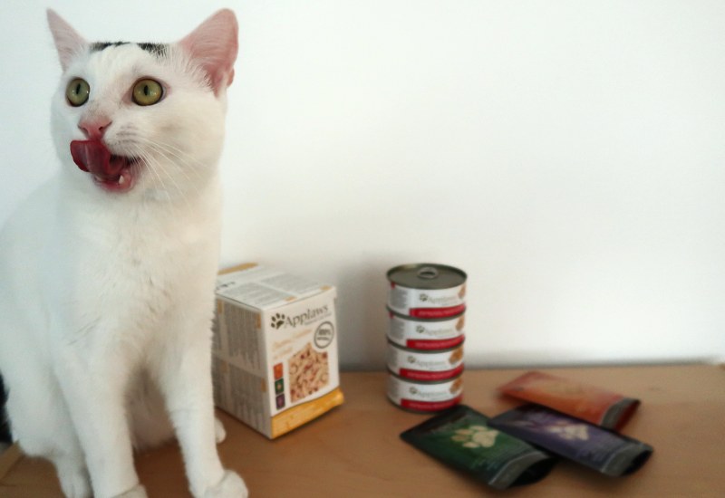krmivo pre mačky bez obilnín