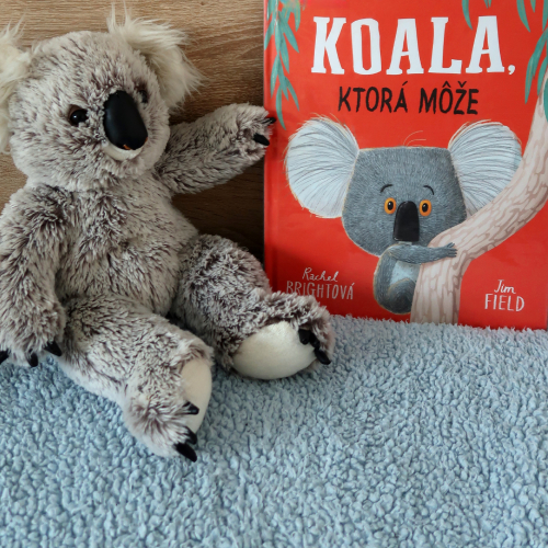 Kniha - Koala, ktorá môže - Rachel Brightová - recenzia